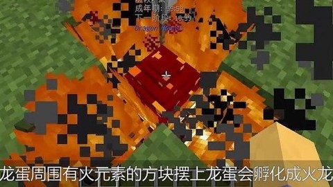 迷你世界怎么弄龙蛋[图2]