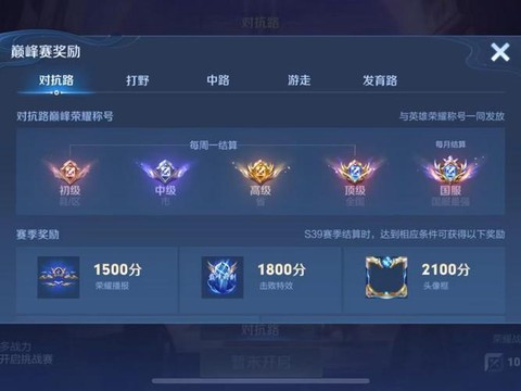 怎么点亮王者荣耀图标[图2]