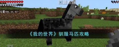 我的世界马怎么下来[图2]