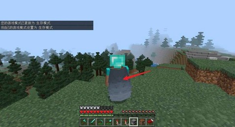 我的世界翅翼有什么用[图1]