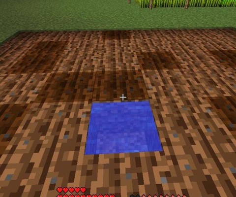 我的世界泥土怎么种菜[图2]